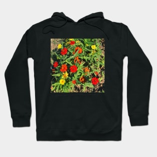 Pretty Red Orange and yellow Flowers with green leaves nature lovers beautiful photography design Hoodie